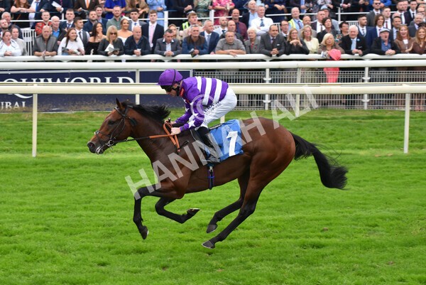 yr09102021r1-48 - Race 1 1.30pm Watch Racing Free Online At Coral Nursery Handicap