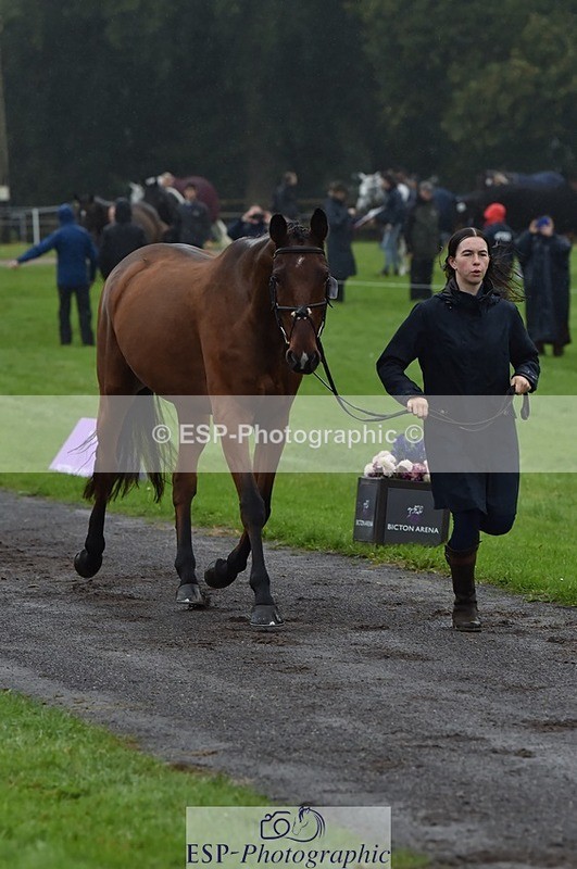 231018-120802-00093 - 010-ERASMUS.BRUMBLE-April.Masters-TrotUp