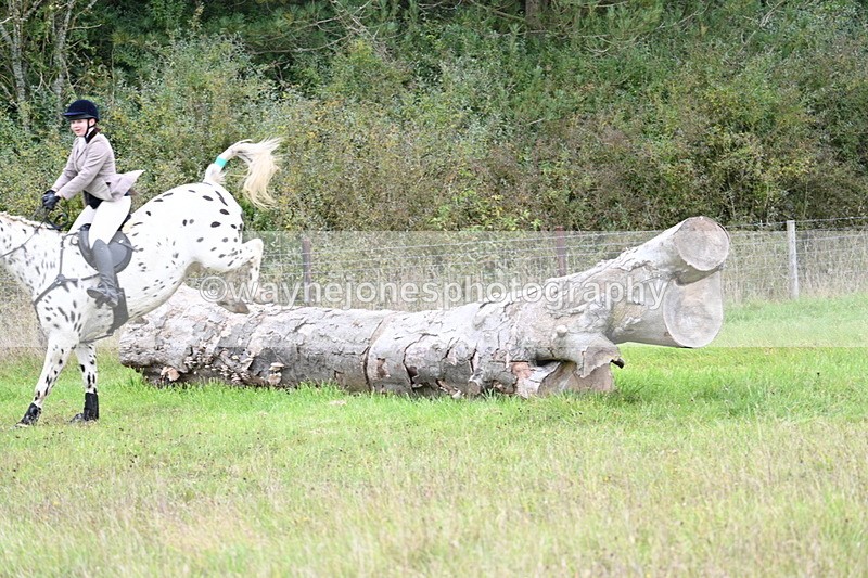 WJ7_3912 - Camera 1 Line 1