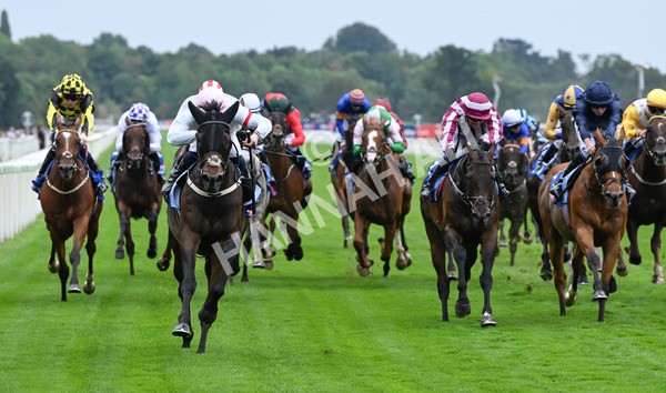 230825-120 Ethical Diamond - Race 4 3.35pm Sky Bet Ebor Handicap