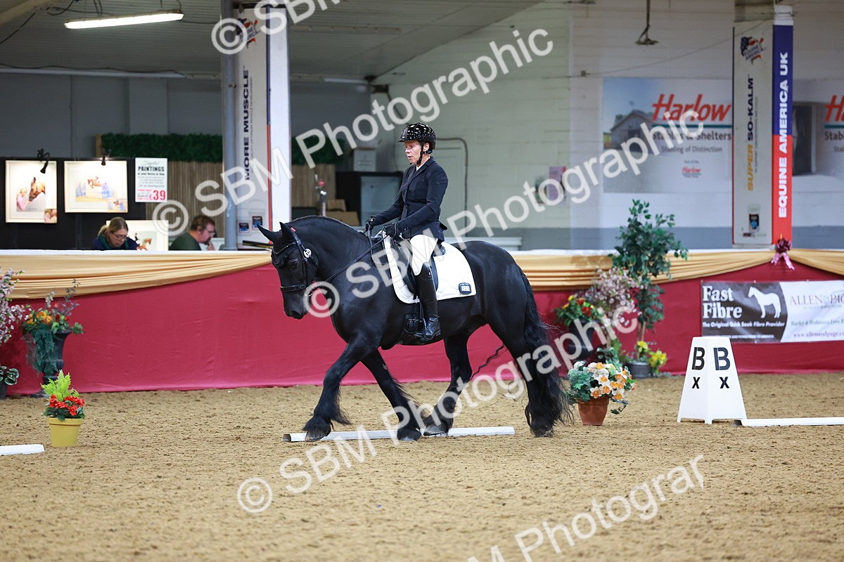 SBM_06580 - Class 61 - Dressage to Music