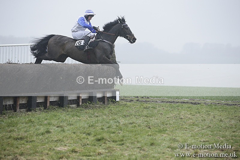 PtP 020418 -301 - Old Berks Point-to-Point Races Easter Monday 02/04/18