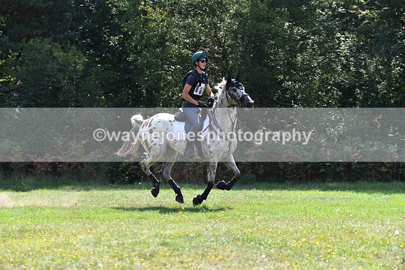 WJ5_2395 - XC Time 11:17 to 11:50