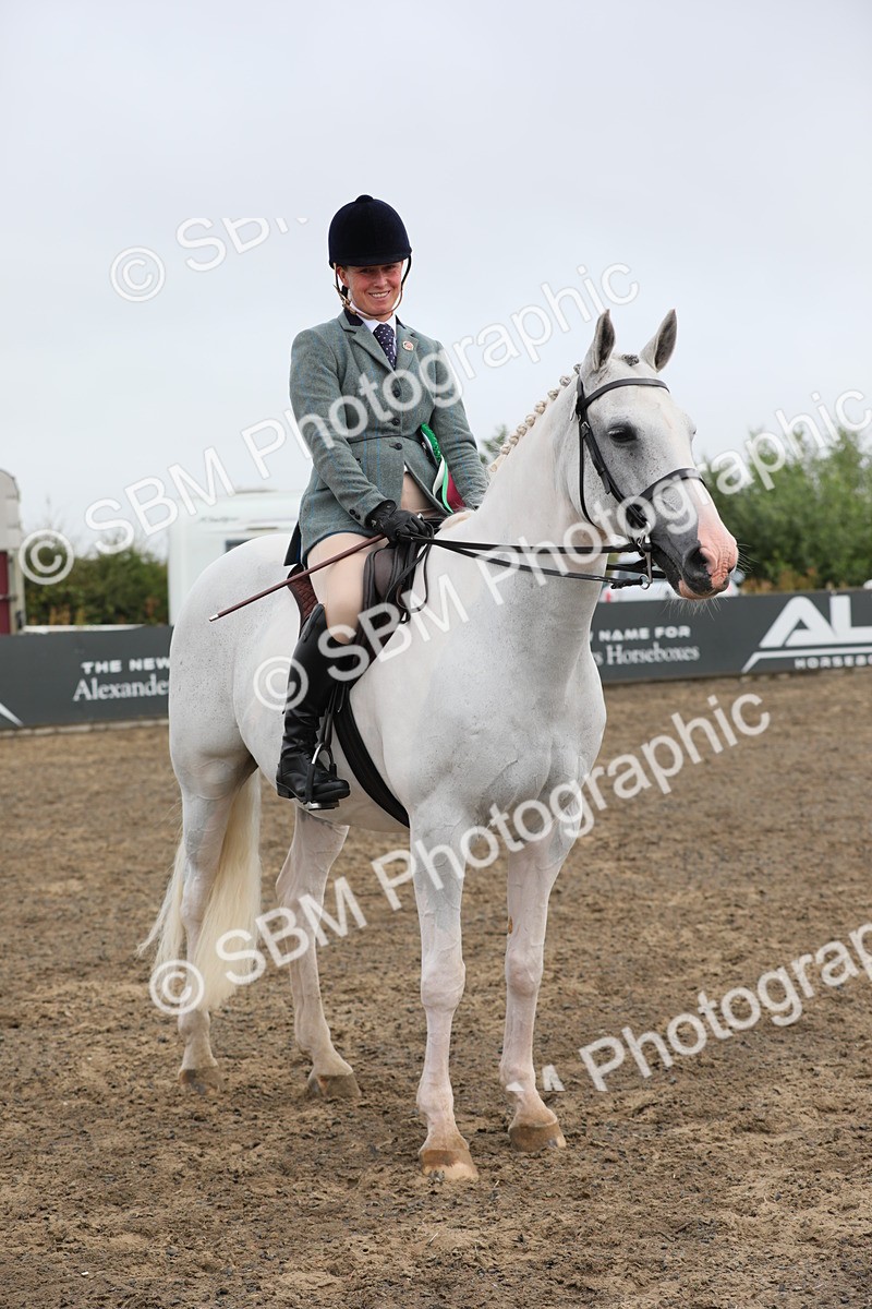 SBM_21405 - Class 805 - Ridden Veteran Horse