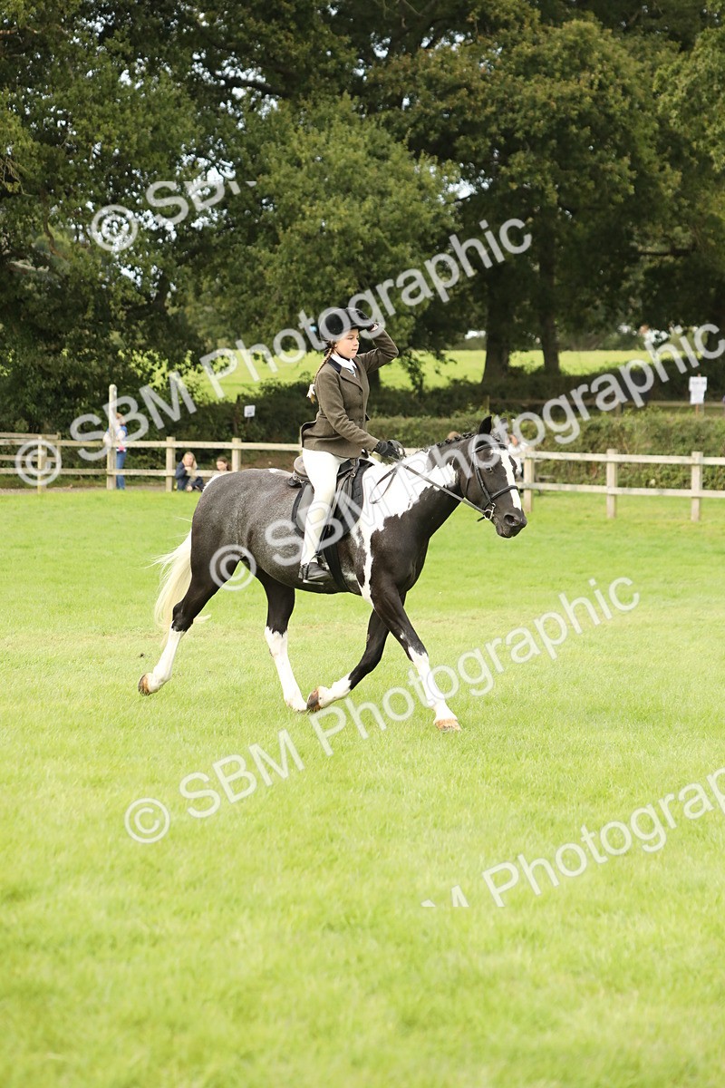 SBM_71625 - S41 - Ridden Equitation (Best Rider)