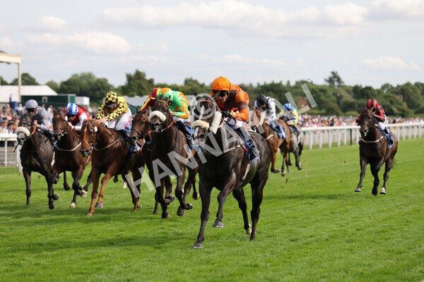 yr08072022r6-13 - Race 6 5.00pm Irish Thoroughbred Marketing Stakes