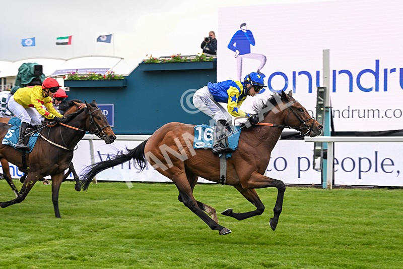 130526-Race 6-Startled-3452 - Race 6 4.40pm Conundrum HR Consulting Handicap