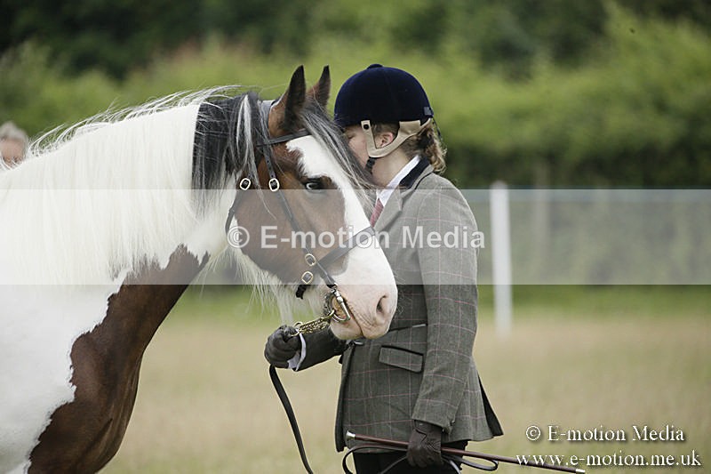 B230619-0068 - Bourne Valley Riding Club Summer Show 23/06/19