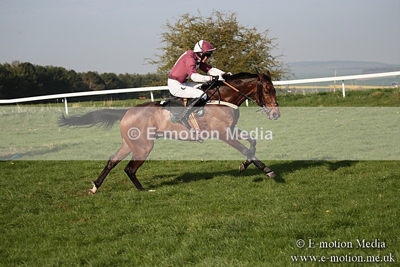 PtP 210418 644 - South & West Wilts Point-to-Point Larkhill 21/04/18