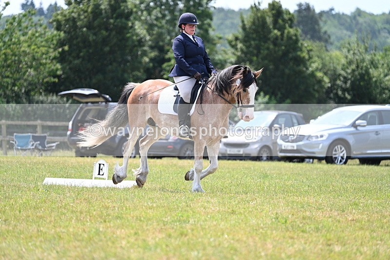 WJ7_8188 - Time 13:35 to 13:40