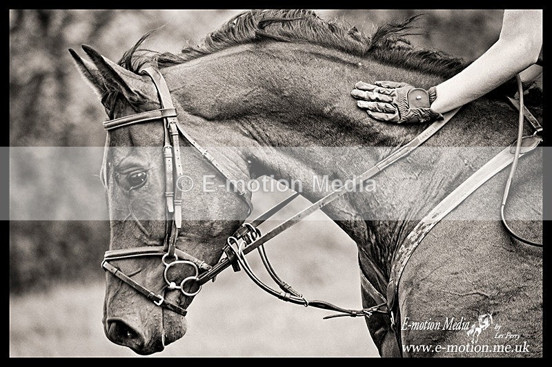 _LEZ1938bwa - B & W photography