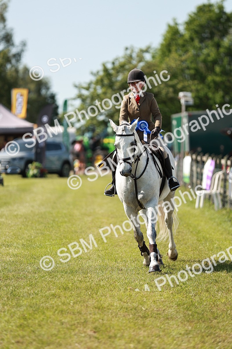SBM_18569 - Class 112-113 - BSPS LIHS Working Sports Pony