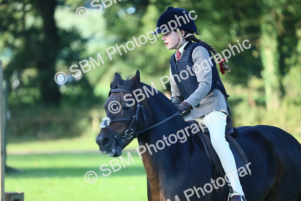 SBM_31919 - S28 - Nursery Stakes Working Hunter Pony