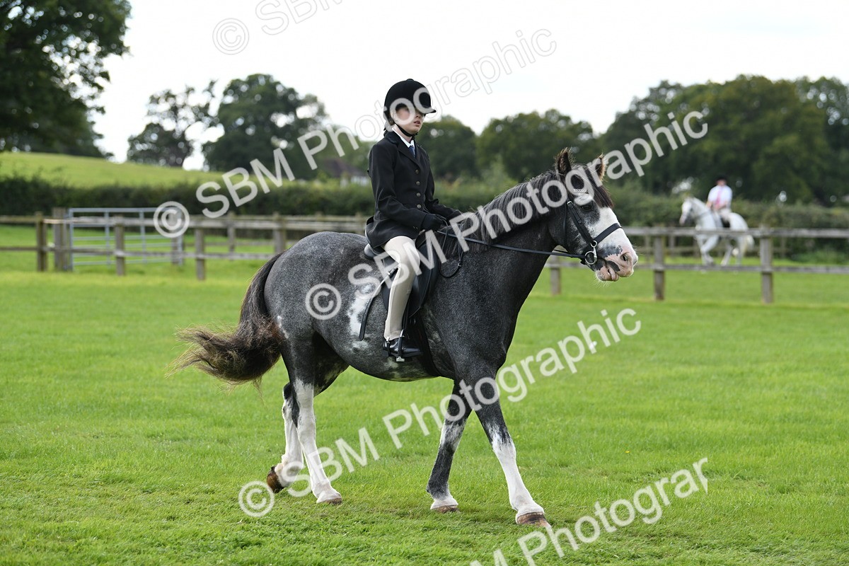 SBM_46696 - S12 - Family Horse & Pony
