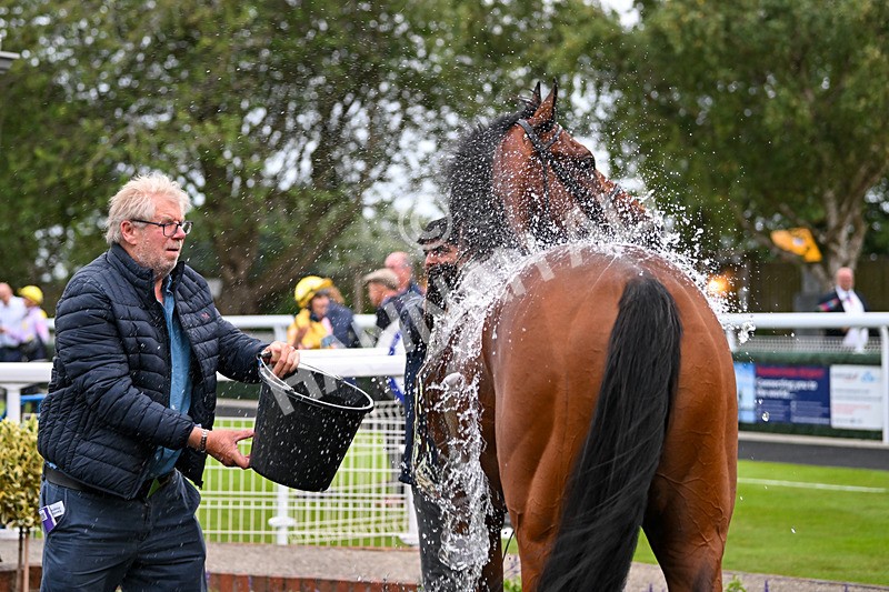 040725-Race 6-Sunny Orange-6212 - Race 6