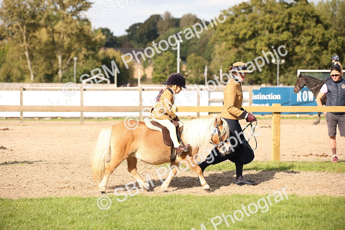 SBM_50127 - S26 - Young Veteran - Ridden