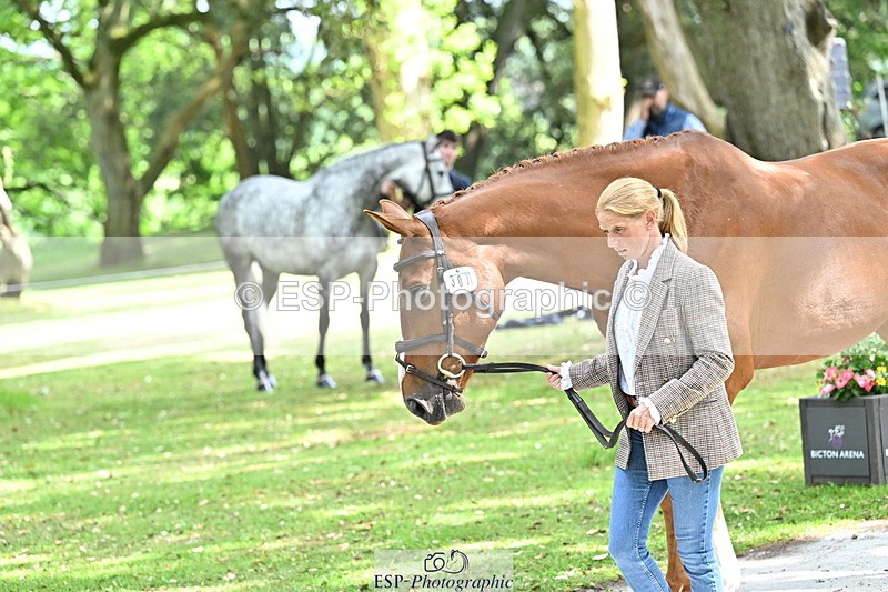 250521A-151848-00417 - B-307-Rosalind.Canter-SILVESTERS.FINESSE