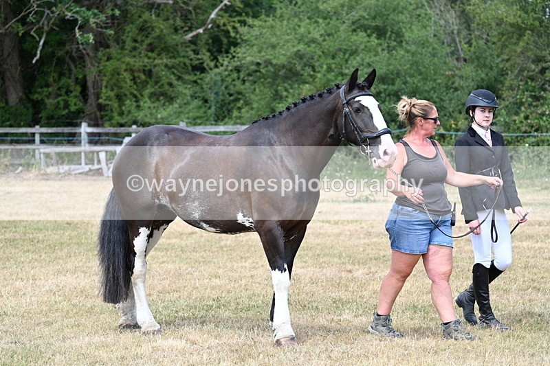 WJ7_1803 - Class 4a Prettiest Mare 14.2hh and over hand