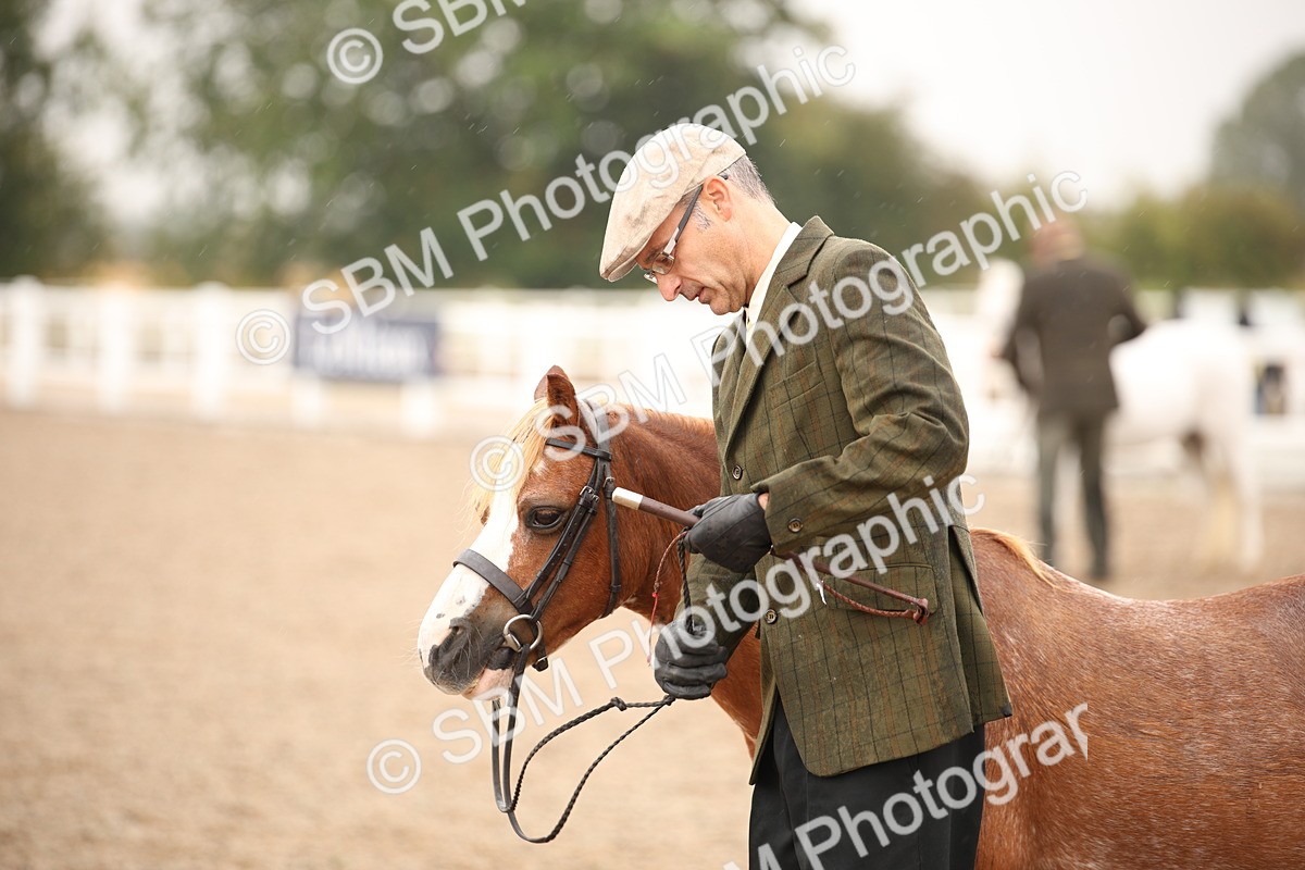 SBM_20712 - Class 705 - IH  Combination 65+