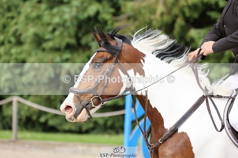 240616-171813-05602 - 90cm