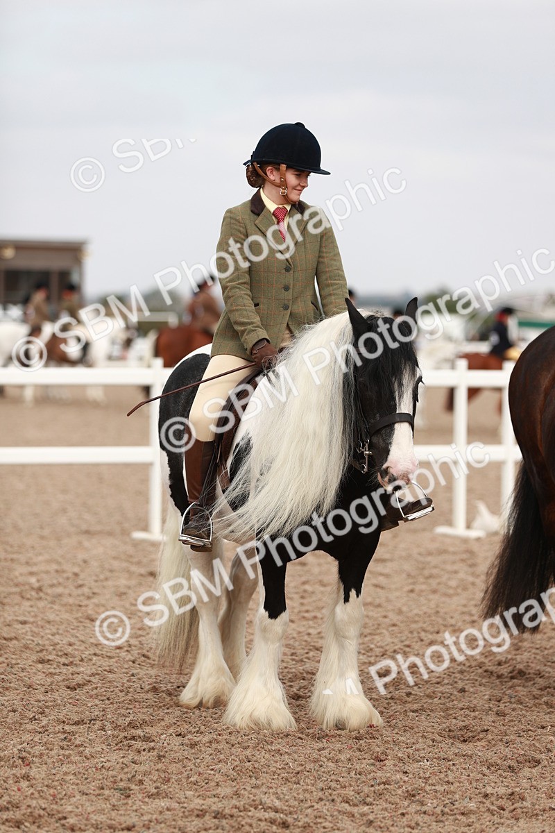 SBM_16764 - Class 214 Ridden Cob