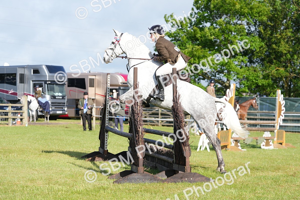 SBM_10497 - Class 97-98 - LIHS BSHA Rising Star Working Show Horse Hunter