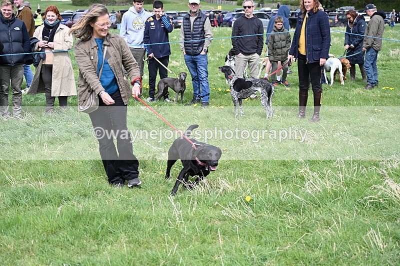 WJ6_8334 - Class 4 Prettiest Bitch