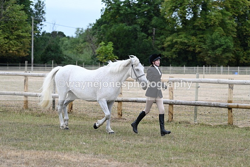 WJ7_8725 - Class 4a Prettiest Mare 14.2hh and over