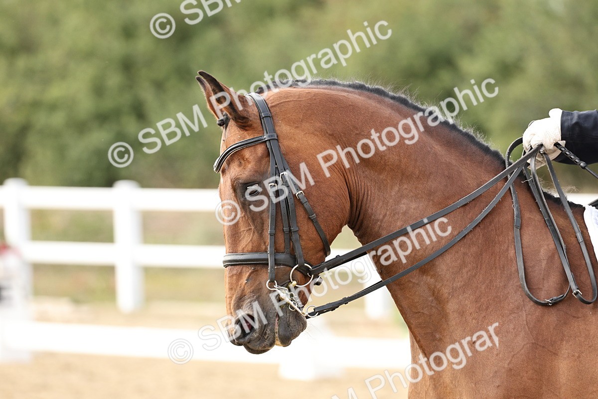 SBM_016310 - Class 10 - Advanced Medium 5