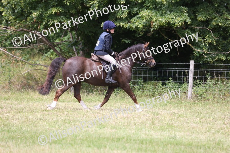 20260614-2766 - Class 22 - Open Working Hunter