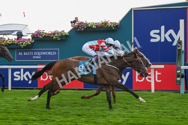 260725-Race 5-Beylerbeyi-7713 - Race 5 3.50pm Sky Bet, For The Fans Handicap