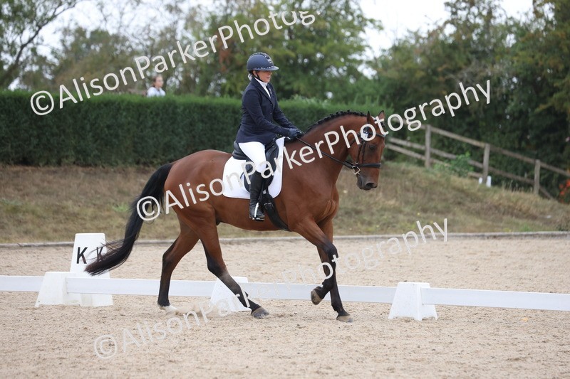 20250820-0378 - Class 11 - My Quest Novice 3