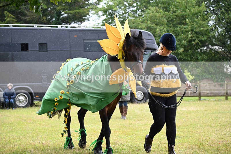 WJ6_9060 - Class 11 Fancy Dress