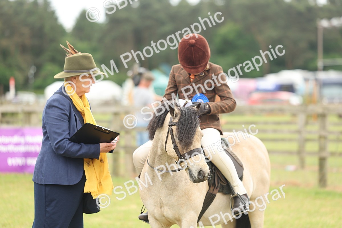 SBM_07143 - Class 76-77 - Ridden M&M Welsh Ponies