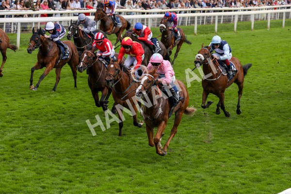 250823-Race 4-Live In The Dream-5878 - Race 4 3.35pm Coolmore Wootton Bassett Nunthorpe Stakes