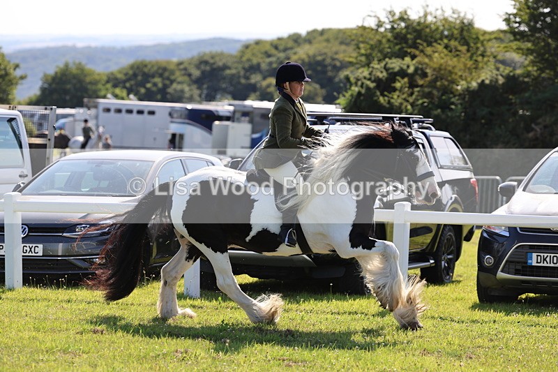 IMG_1562 - Class 30: Ridden Native/Trad Coloured Pony