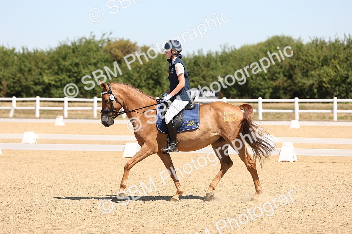 SBM_001235 - Intro 2