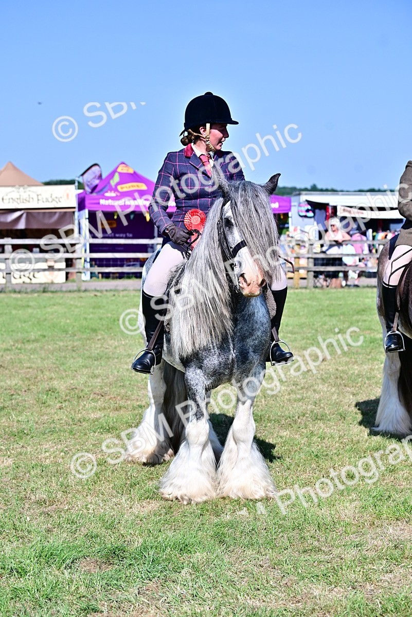 SBM_19456 - Class 101-102 - BSPS LIHS Performance Coloured Horse/Pony