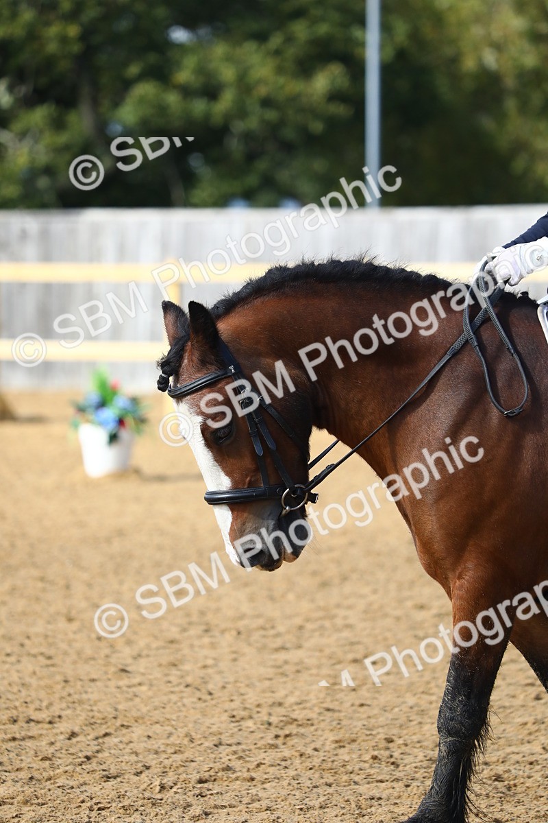 SBM_49116 - D23 - Junior Championship Prelim 1