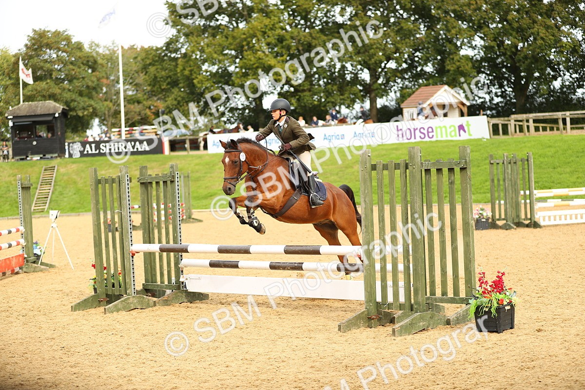 SBM_71279 - J18 - Junior Pony 85cm Championship