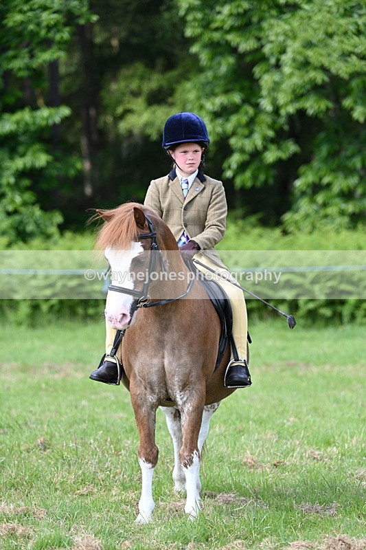 WJ7_0802 - Class 8 First Rally Pony