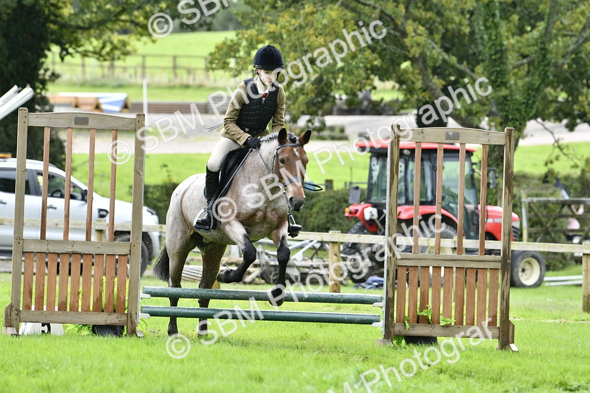 SBM_41459 - S32 - Mountain & Moorland Working Hunter Pony