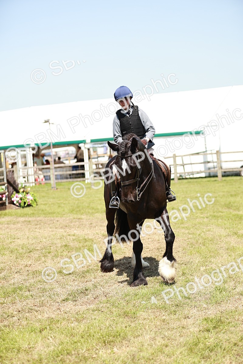 SBM_17367 - Class 110-111 - Training Stakes (70cms 80cms)