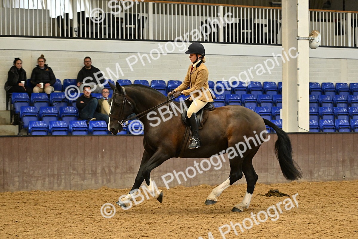 SBM_002032 - Class 21 - BSHA Ridden Show Cob