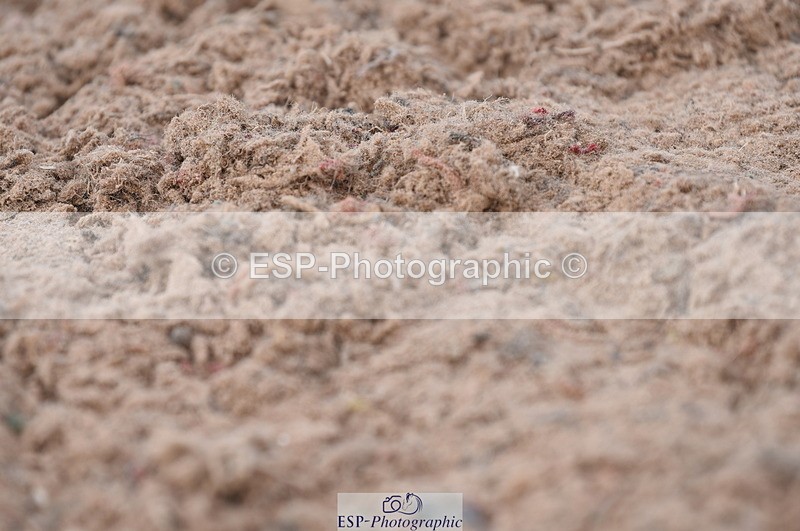 230701A-153930-07449 - Cls 11 Novice 34