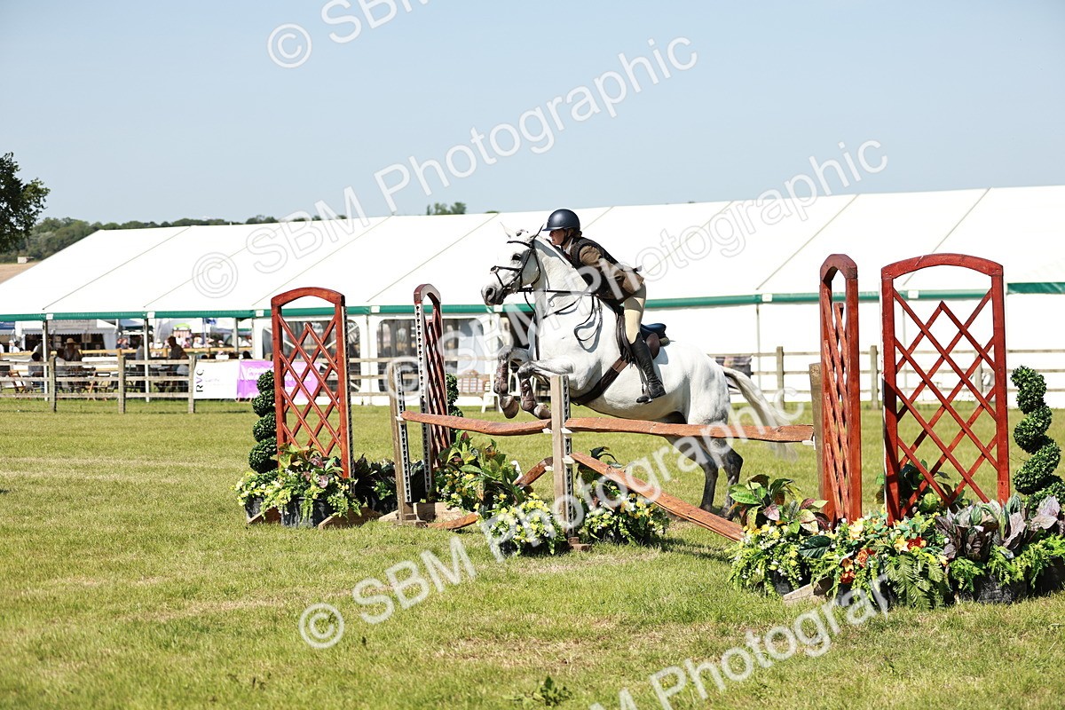 SBM_18448 - Class 112-113 - BSPS LIHS Working Sports Pony