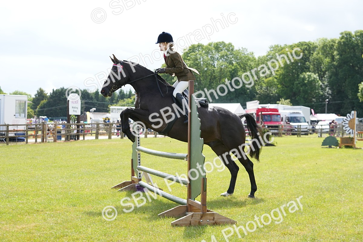 SBM_12884 - Class 99 - RIHS SEIB Working Show Horse