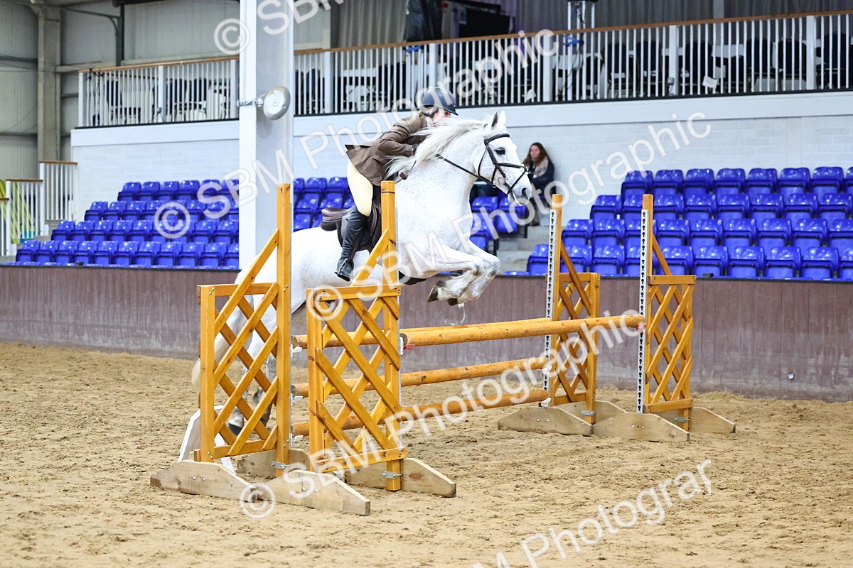 SBM_006599 - Class 43 - RIHS Qualifier Exceeding 43cms