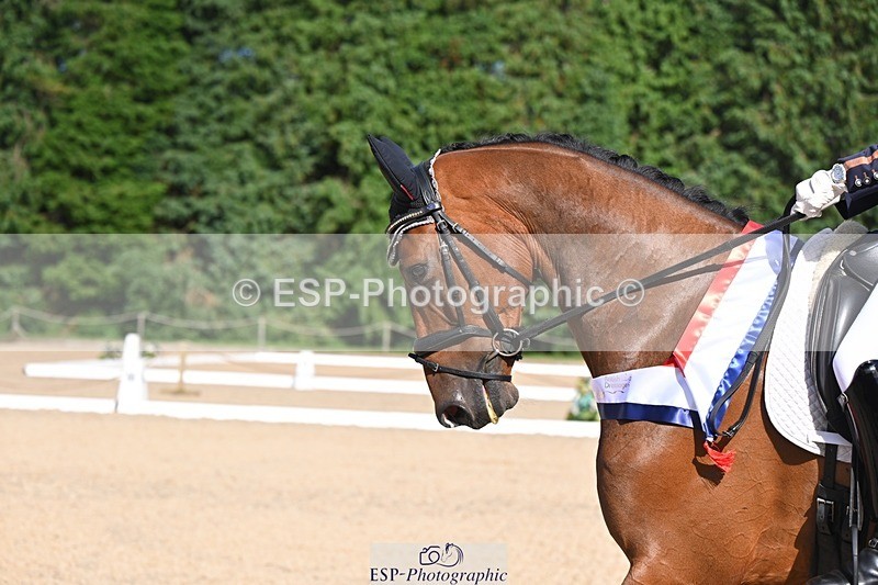 240809-163656-02448 - Novice Gold