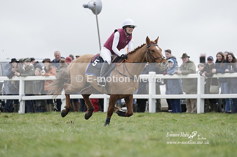 PtP 260323 0272 - New Forest Hounds Point-to-Point Larkhill 26/03/23